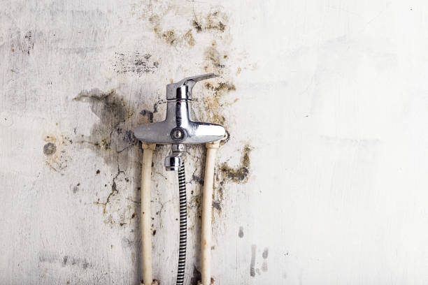 Best Mold Testing and Inspection Services in St James, MD